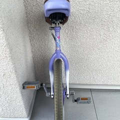 ブリヂストン(BRIDGESTONE) スケアクロウ 子供用 一輪車
の画像