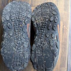 スニーカーの画像