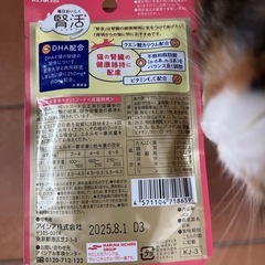 猫　総合栄養食　腎活の画像