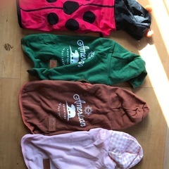 ペット服
の画像