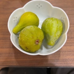 今年もイチジクの時期になりました！　無花果の画像
