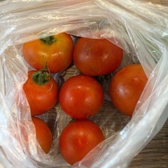 ミニトマト
