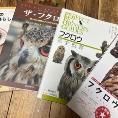 フクロウの本5冊の画像