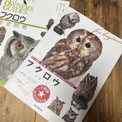 フクロウの本5冊の画像