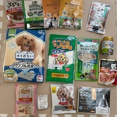 【決まりました】わんちゃん　詰め合わせ　BOX ドッグフードの画像