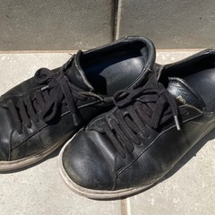 中古 SHIPS シップス レザー スニーカー PIEVE 靴 ピエーヴェの画像