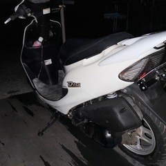 AF34ライブディオの画像