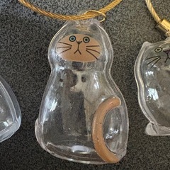 けだま猫の画像
