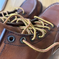 レッドウイング　REDWING 875の画像