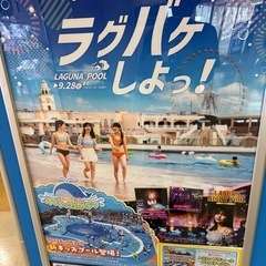 温泉　岩盤浴　プールに一緒に行ける方募集