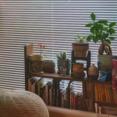 本棚 植物台 シェルフ DIY 幅140cmの画像