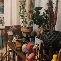 本棚 植物台 シェルフ DIY 幅140cmの画像
