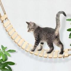 新品 猫 キャットウォークの画像