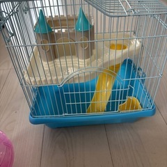 ⭐︎お話し中⭐︎ハムスターセット🐹オス1匹の画像