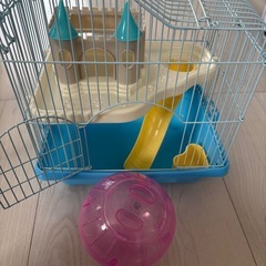 ⭐︎お話し中⭐︎ハムスターセット🐹オス1匹の画像