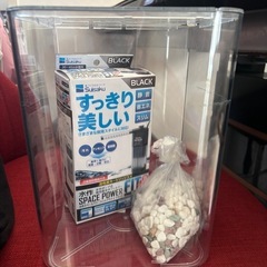 小型水槽🐠金魚すくいの子たちにの画像