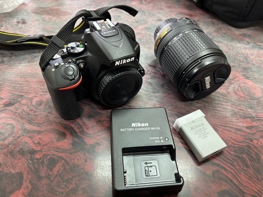 Nikon D5500
