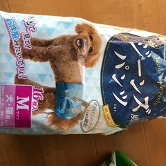 ペット服
の画像