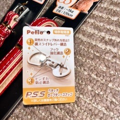 小型犬用　首輪&リードのセットの画像