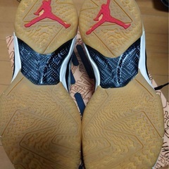 Air Jordan XXXVII Jayson tatum PF26.5美品の画像