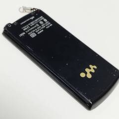SONY ウォークマン NW-S764 8GB/ブラックの画像