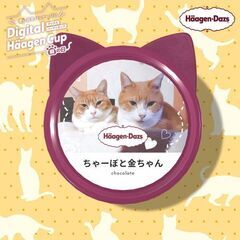 推定3歳位　何年もずっとのお家を待っています😭幸運のカギし…