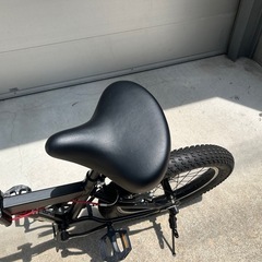 AVASTA BacchusBMX 自転車 20インチ フリースタイルBMXバイク