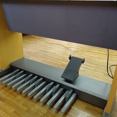 ヤマハ　ステージアミニ　ELB-01  和歌山市の画像