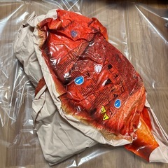 INTEX インテックス 57533 [ロブスターライドオン] 浮き輪の画像