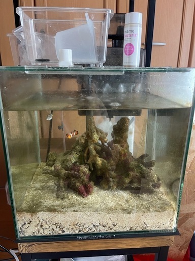 海水水槽セット