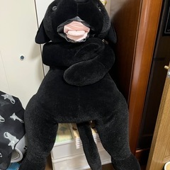 ラブラドールぬいぐるみ