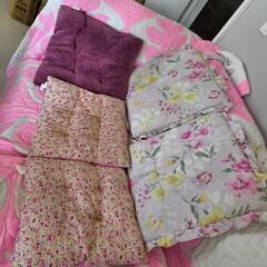 座布団5枚です。の画像