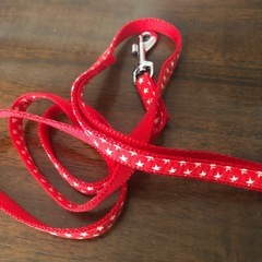 ペット用　小型犬用　首輪　リードの画像