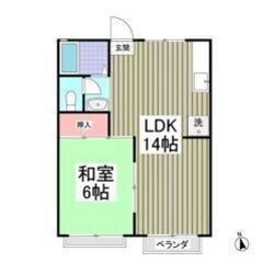 💛💚フリーレント1ヶ月付き💚💛敷礼ゼロ✨北松戸駅バス1分🌟スーパ...