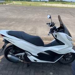 ＪＦ81  PCX  ホワイトの画像