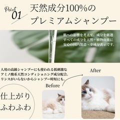 ペット用敏感肌全身シャンプーの画像