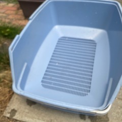 猫トイレの画像