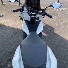 ＪＦ81  PCX  ホワイトの画像