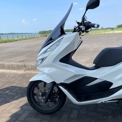 ＪＦ81  PCX  ホワイトの画像