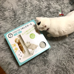 猫用爪研ぎポールの画像