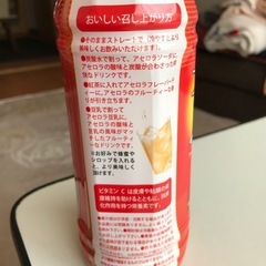 【再投稿です】アセロラ100% 2本の画像