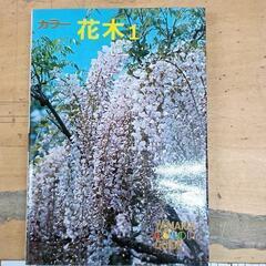 0708-024 山渓カラーガイドの画像