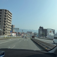 高知にもどりました。