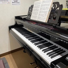 スタジオ ピアノ ソルフェージュ  個人レッスン （ 大人 子ども）の画像