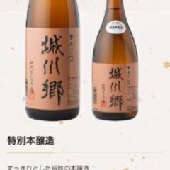🍶中城本家酒造合名会社 城川郷 大吟醸 特別本醸造 未開封 古酒の画像