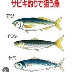 １７日(木)6時半🎣釣りベテランと行きます（＾∇＾）