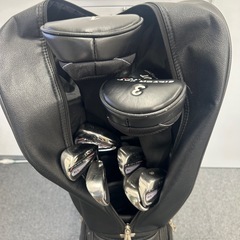 クラブ10本とキャデーバッグセット　Lynx・SILVER CATシリーズの画像