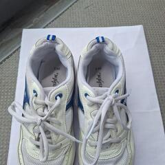 【中古品】中学男子体育館シューズ24.5㎝の画像