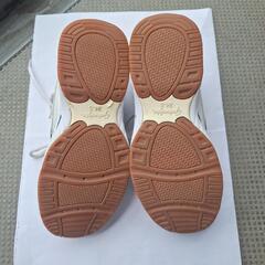 【中古品】中学男子体育館シューズ24.5㎝の画像