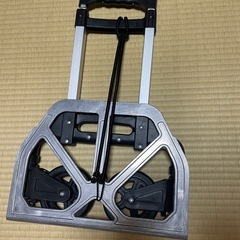 キャリーの画像